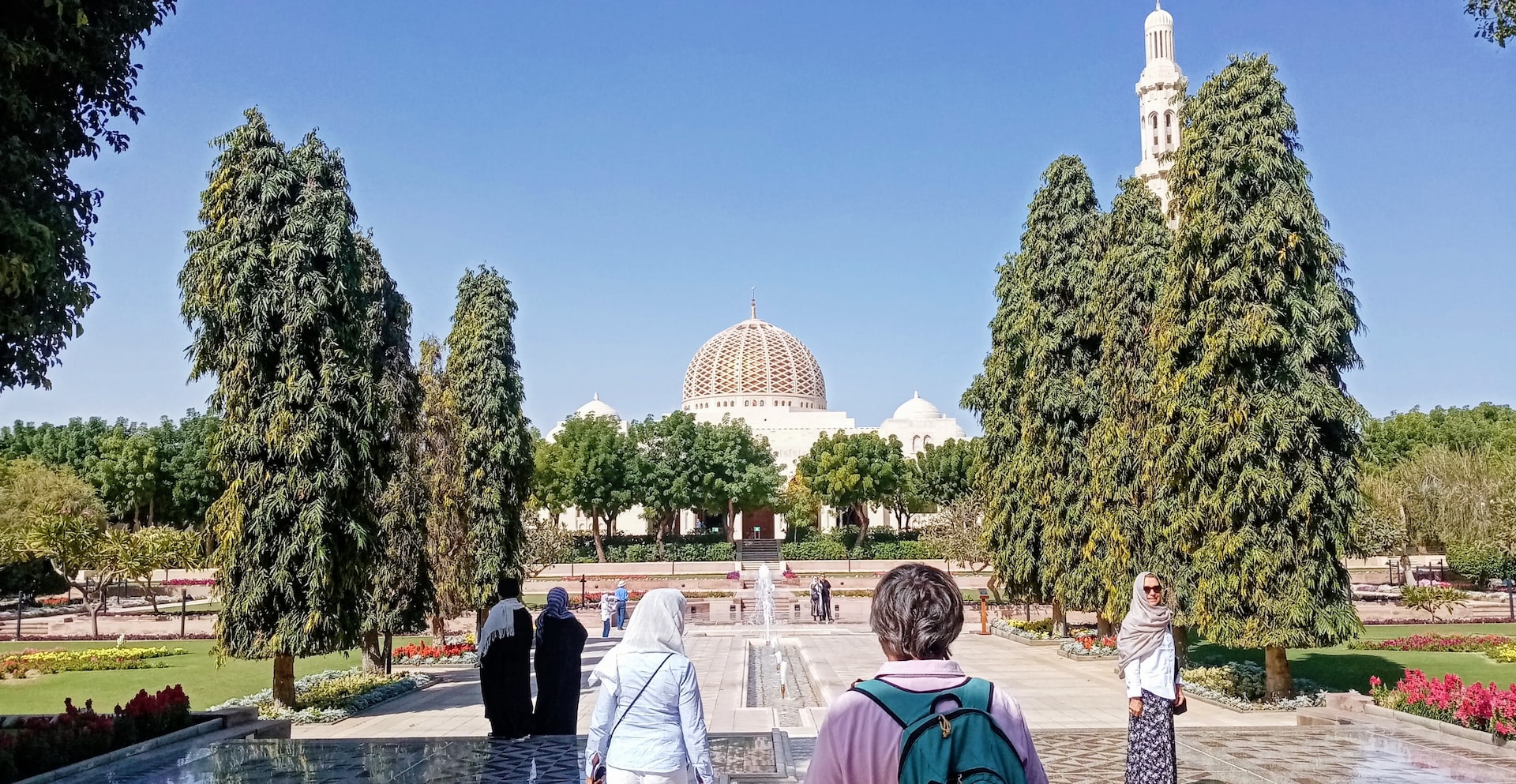 people walking on park during daytime